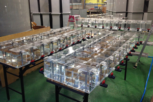 水槽（WATERTANK）